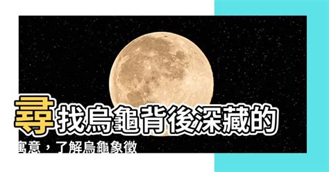 烏龜代表什麼|烏龜是什麼神明？探索其文化與象徵意義